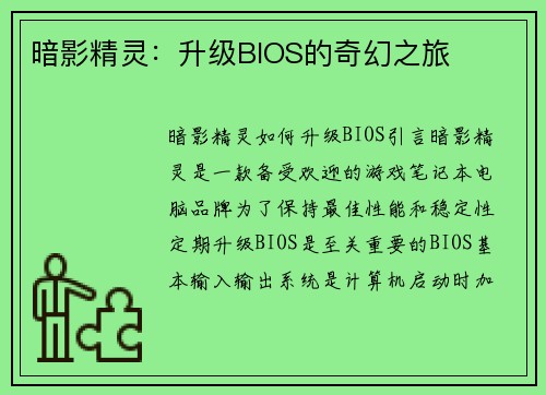 暗影精灵：升级BIOS的奇幻之旅