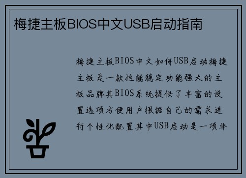 梅捷主板BIOS中文USB启动指南